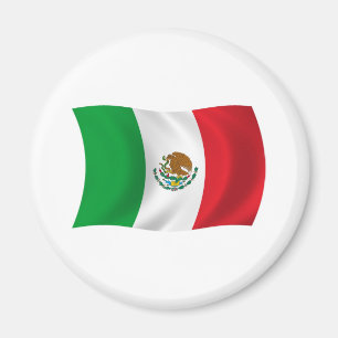 Mexico Vlag Magneet