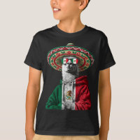 Mexico Vlag Mexicaanse Trots Mexicaanse Roots Mexi