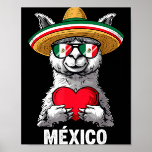 Mexico vlag Mexicaanse trots Mexicaanse wortels Me Poster