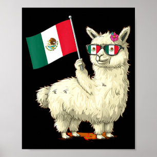Mexico vlag Mexicaanse trots Mexicaanse wortels Me Poster