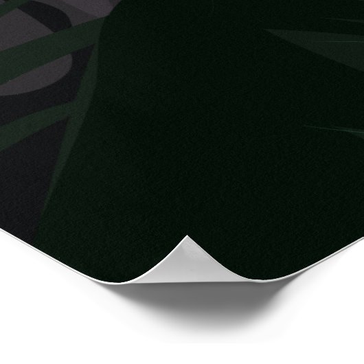 Mexico Volcano Travel Poster (Hoek)