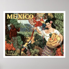 Mexico, vrouw met tropische vruchten en papegaaien poster