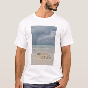 Mexico, Yucatan, Isla Mujeres Eiland van T-shirt