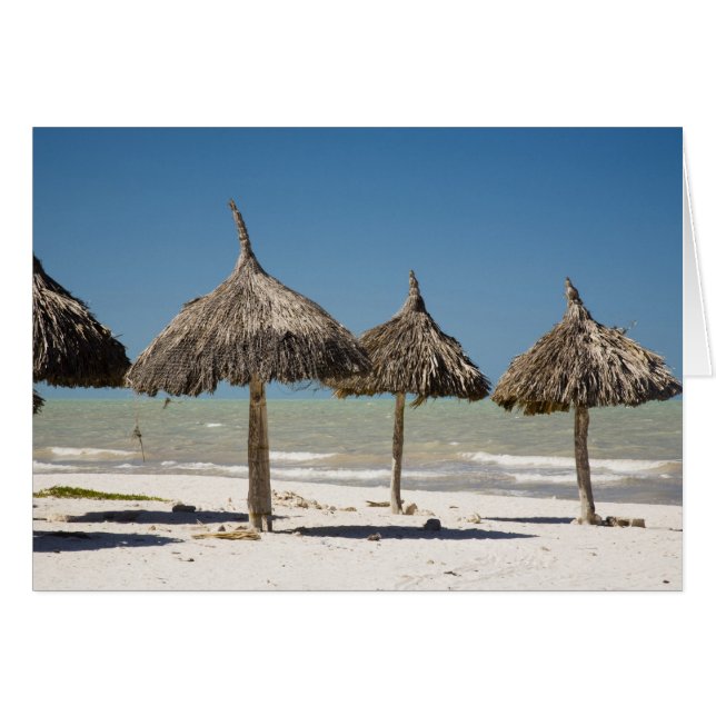 Mexico, Yucatan schiereiland, Progreso. Dakbedekki (Voorkant Horizontaal)