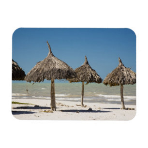 Mexico, Yucatan schiereiland, Progreso. Dakbedekki Magneet