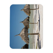 Mexico, Yucatan schiereiland, Progreso. Dakbedekki Magneet (Verticaal)