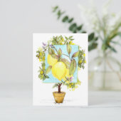 Meyer Citroenboom Citrusfruit Tuin Briefkaart (Staand voorkant)