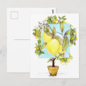 Meyer Citroenboom Citrusfruit Tuin Briefkaart (Voorkant / Achterkant)