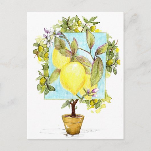 Meyer Citroenboom Citrusfruit Tuin Briefkaart (Voorkant)