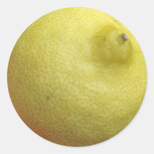 Meyer Lemon Ronde Sticker (Voorkant)
