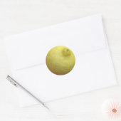 Meyer Lemon Ronde Sticker (Envelop)