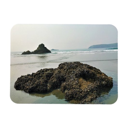 Meyers Beach North, Gold Beach, Oregon Magneet (Horizontaal)