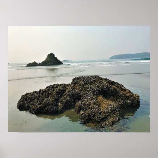 Meyers Beach North, Gold Beach, Oregon Poster (Voorkant)