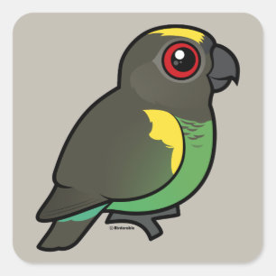Meyer's Parrot Vierkante Sticker