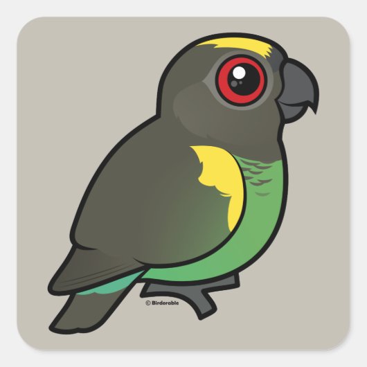 Meyer's Parrot Vierkante Sticker (Voorkant)