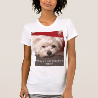 _MG_3718, wat het ook was, ik deed het niet eerlij T-shirt