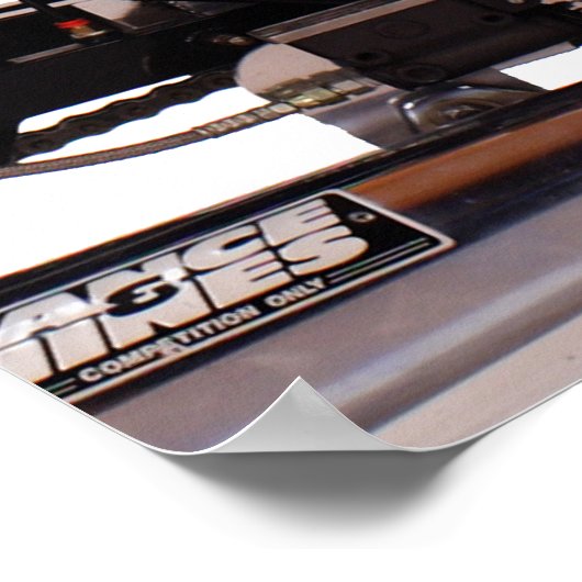 _MG_75402430aCassie Poster (Hoek)