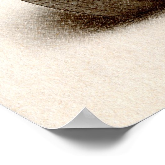 MG MGB MkII Poster (Hoek)