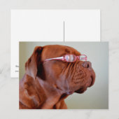 mg roze eiwit briefkaart (Voorkant / Achterkant)