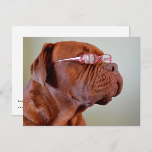 mg roze eiwit briefkaart (Voorkant / Achterkant)