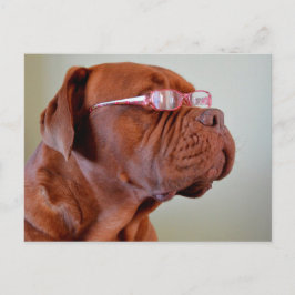 mg roze eiwit briefkaart
