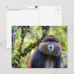 Mgahinga Park, Oeganda Reisansichtkaart Briefkaart