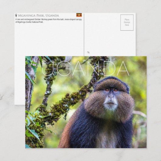 Mgahinga Park, Oeganda Reisansichtkaart Briefkaart (Voorkant / Achterkant)