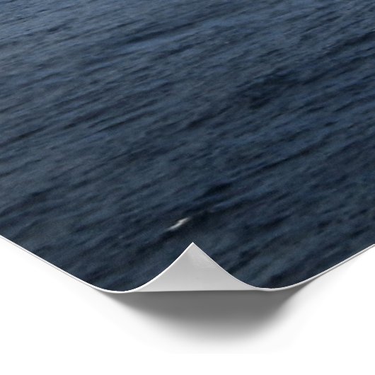 MH-53E Zee Dragon Poster (Hoek)