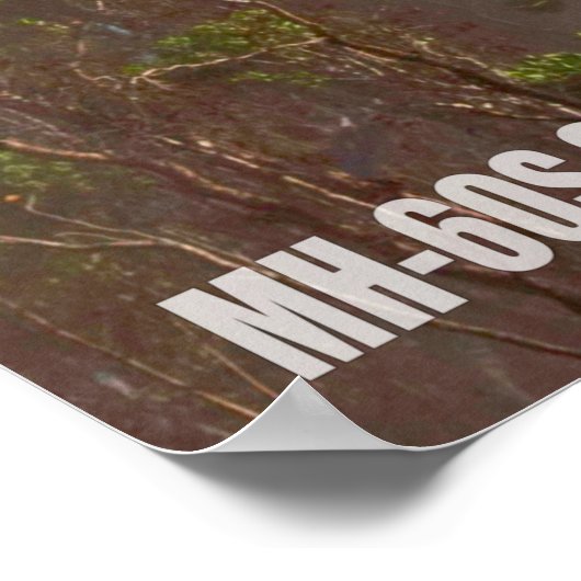 MH-60S SEAHAWK POSTER (Hoek)