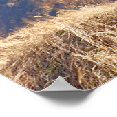 MH-60T JAYHAWK POSTER (Hoek)