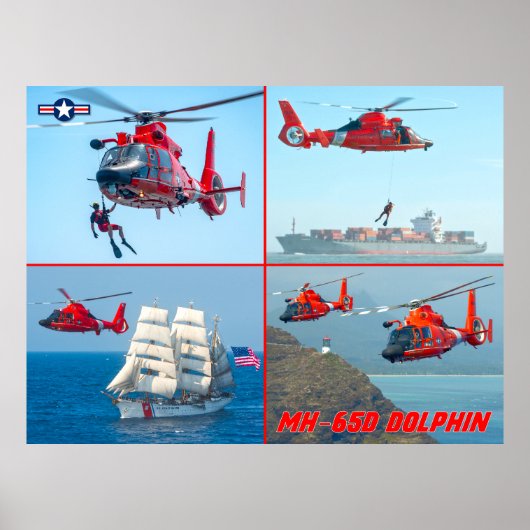 MH-65D DOLPHIN POSTER (Voorkant)