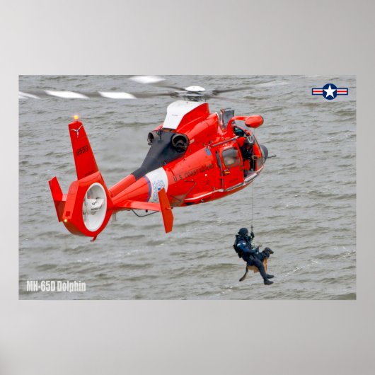 MH-65D DOLPHIN POSTER (Voorkant)