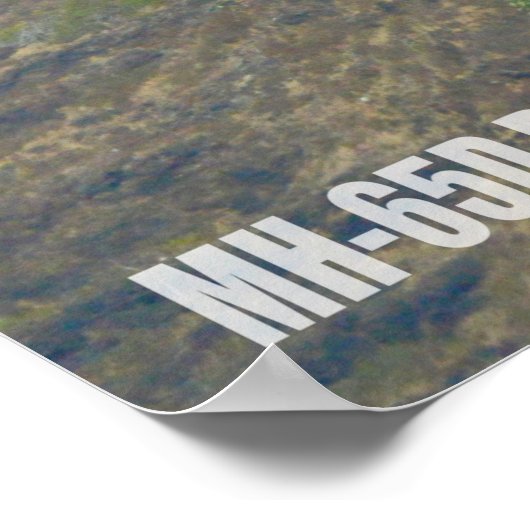 MH-65D DOLPHIN POSTER (Hoek)