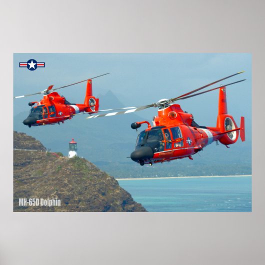 MH-65D DOLPHIN POSTER (Voorkant)