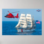 MH-65D DOLPHIN POSTER (Voorkant)