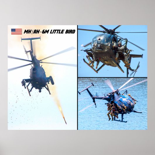 MH/AH-6M KLEINE VOGEL POSTER (Voorkant)