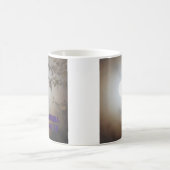 MH-collector mok (Center)