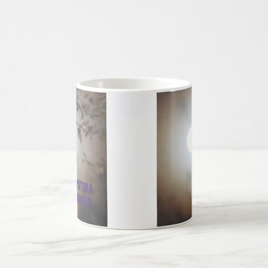 MH-collector mok (Center)