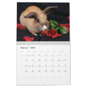 MHRR Honeybadger Bunny Rabbit 12 maanden kalender (Feb 2026)