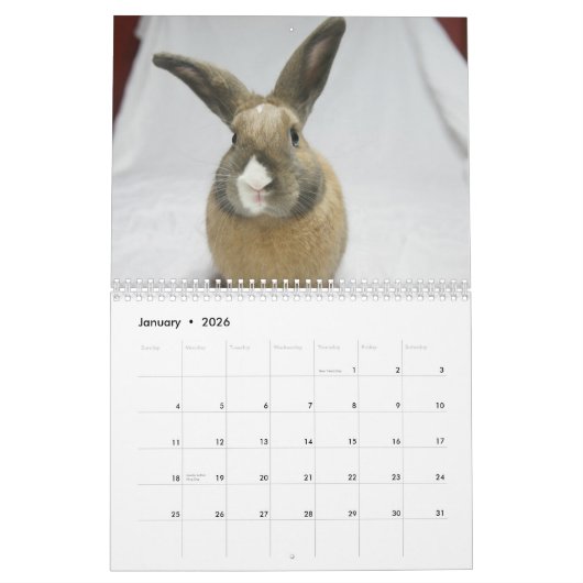 MHRR Honeybadger Bunny Rabbit 12 maanden kalender (Jan 2026)