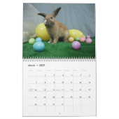 MHRR Honeybadger Bunny Rabbit 12 maanden kalender (Mar 2027)