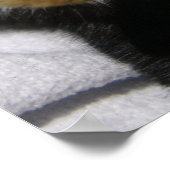 MHRR Nederlands poster zwarte konijnenkonijn zomer (Hoek)