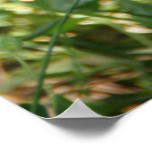 MHRR poster Nederlandse konijnenmuur (zwart-wit) (Hoek)