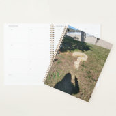 Mi agenda de preguntas (Display)