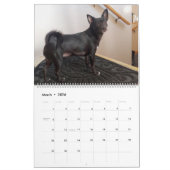 Mia Chihuahua Hond 2024 Kalender (Mar 2026)
