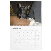 Mia Chihuahua Hond 2024 Kalender (Feb 2026)