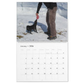 Mia Chihuahua Hond 2024 Kalender (Jan 2026)