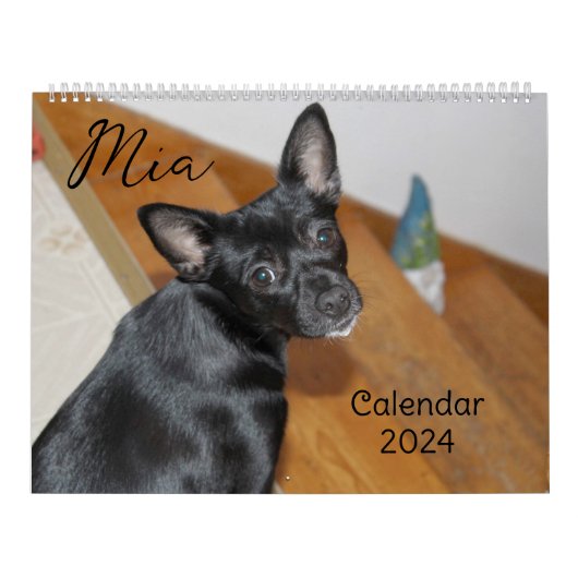Mia Chihuahua Hond 2024 Kalender (Hoes)