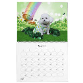 Mia - een Bichon Frise 2014-kalender Kalender (Mar 2027)