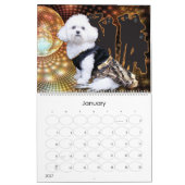 Mia - een Bichon Frise 2014-kalender Kalender (Jan 2027)